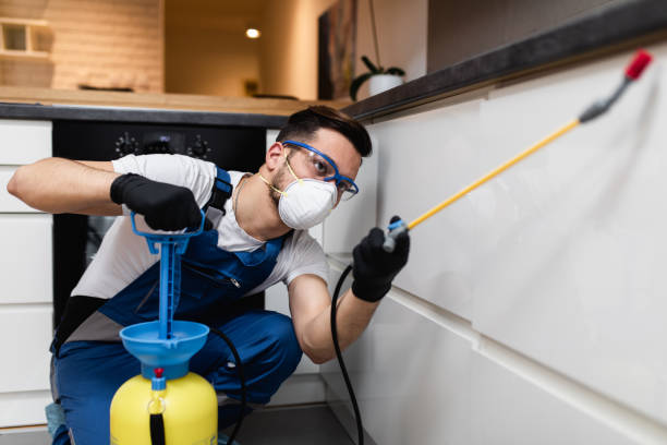 Best Best Pest Control Companies  in Bensenvle, IL