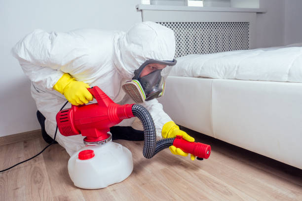 Best Bed Bug Extermination  in Bensenvle, IL