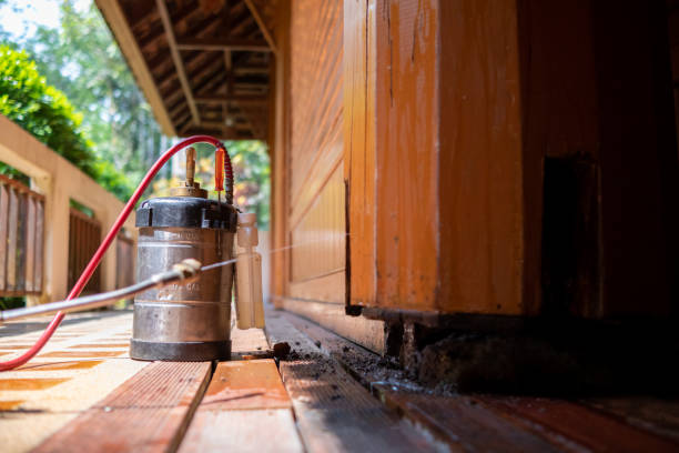 Best Residential Pest Control  in Bensenvle, IL