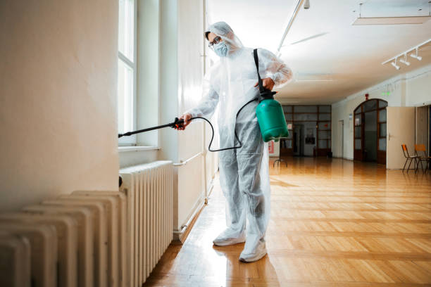 Best Rat Extermination Near Me  in Bensenvle, IL